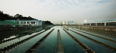 兩會(huì)聲音：城市“新洼地”之痛 如何補(bǔ)齊城市地下管網(wǎng)短板？